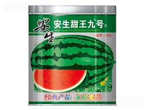 ����������̖-���ϷN��-����