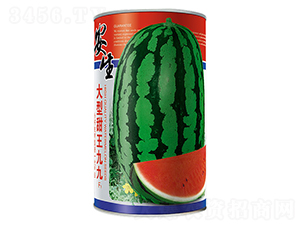 ���������ž�-���ϷN��-����