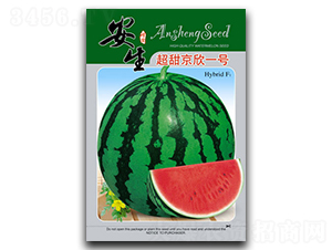 ������һ̖-���ϷN��-����