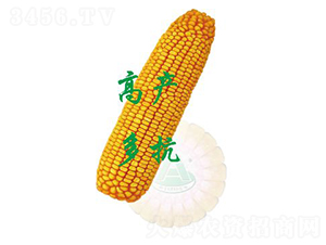 ����19-���׷N��-ԣ�S�N�I(y��)