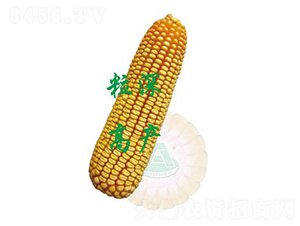 ����31-���׷N��-ԣ�S�N�I(y��)