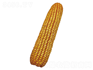 ԣ�S101-���׷N��-ԣ�S�N�I(y��)