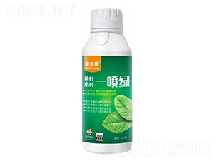 �S�~С�~һ���G-������-���r(n��ng)˼�_(d��)