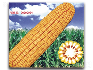 �Ǻ�618-���׷N��-���^�B