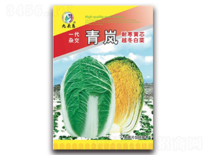 ����-��ײ˷N��-���^�B