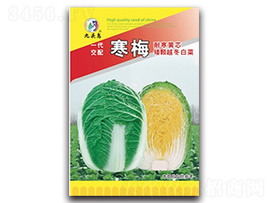 ��÷-��ײ˷N��-���^�B