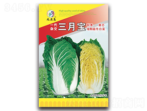 ����-��ײ˷N��-���^�B