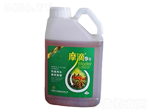 Ħ��9̖(h��o)-ħ��Һ��