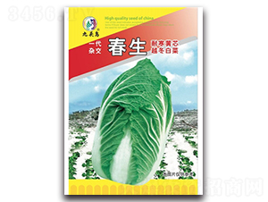 ����-��ײ˷N��-���^�B