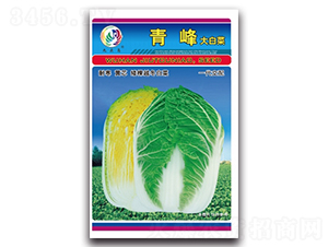 ���-��ײ˷N��-���^�B