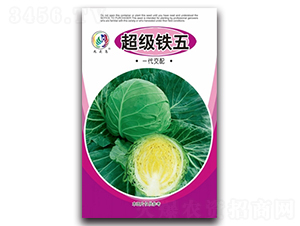 ����(j��)�F��-���{(l��n)�N��-���^�B