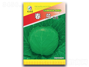 ���m���{(l��n)-���{(l��n)�N��-���^�B