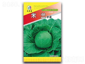 ���m���{-���{�N��-���^�B