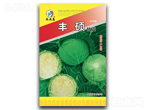 �S�T���{(l��n)-���{(l��n)�N��-���^�B(ni��o)