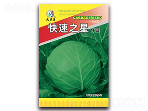 ����֮�Ǹ��{-���{�N��-���^�B