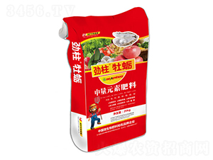 ����Ԫ�ط���-������ĵϠ-형r(sh��)�