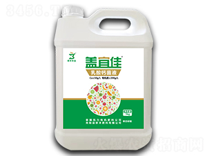 �����}��Һ-�w�˼�-�z���r(n��ng)�I(y��)