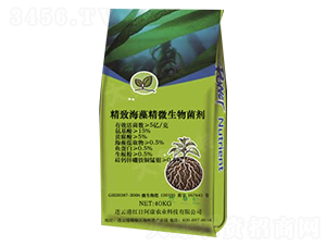 ���º��徫΢�������-�t�հ���