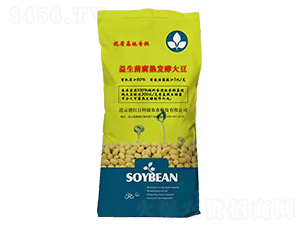 ����l(f��)�ʹ󶹷�-�t�հ���