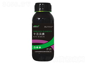 ʮ��Ԫ��-���S˹��