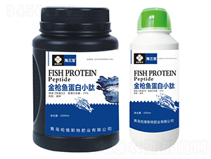 ���~����С��-������-���S˹��