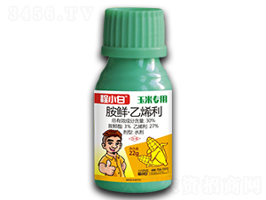 ���r•��ϩ��-���r(n��ng)�r(n��ng)�I(y��)