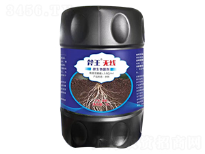 ΢�������-�����o��-��巉�