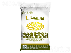 �����S����-�������