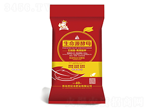 ����Դ��ĸ-����(d��ng)ţ-���o(j��)�S