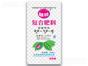 ������͏ͺϷ���22-12-6-���طʘI(y��)