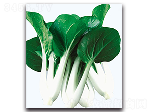 �s�����~�ײ�-�ײ˷N��-�F(xi��n)������