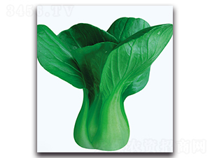 �s���๣�ײ�-�ײ˷N��-�F(xi��n)������