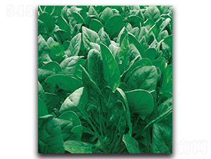 1314����-���˷N��-�F(xi��n)������