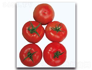 ��ܷ���-���ѷN��-�F(xi��n)������