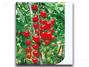 �����������ҷ���-���ѷN��-�F(xi��n)������