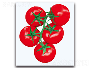 ����032����-���ѷN��-�F(xi��n)������