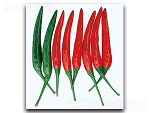 ��t����-�����N��-�F(xi��n)������