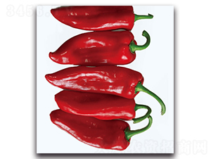 �F(xi��n)���ݽ�������-�����N��-�F(xi��n)������