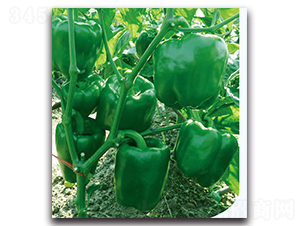 ����һ̖(h��o)����-�����N��-�F(xi��n)������