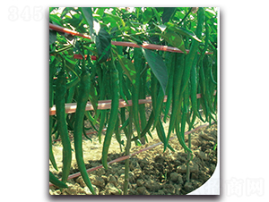 ��S��������-�����N��-�F(xi��n)������