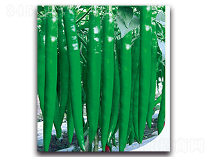 ��������-�����N��-�F(xi��n)������