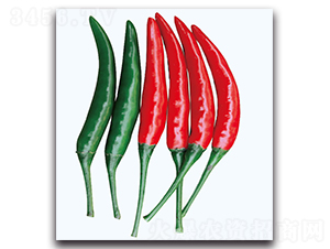 �t������-�����N��-�F(xi��n)������