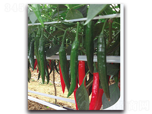 �t��404����-�����N��-�F(xi��n)������