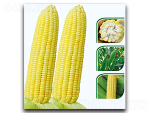 ����8̖(h��o)����-�����׷N��-�F(xi��n)������