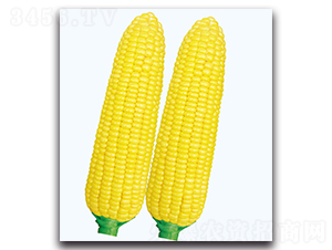 �A����1̖(h��o)����-�����׷N��-�F(xi��n)������