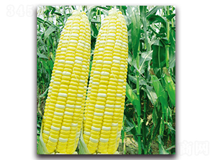 �A����8̖(h��o)���y������-�����׷N��-�F(xi��n)������