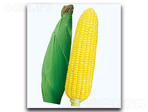 �A����2̖(h��o)����-�����׷N��-�F(xi��n)������