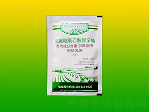 �ȷ��������ᮐ��������-����