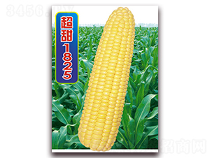 ����1825-�����׷N��-�A��N�I(y��)