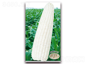 �fŴһ̖-Ŵ���׷N��-�A��N�I(y��)